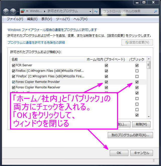 プログラムに外部接続の許可を与えるために、チェックをいれる