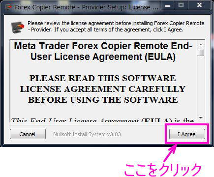 ユーザーライセンス同意書に同意する
