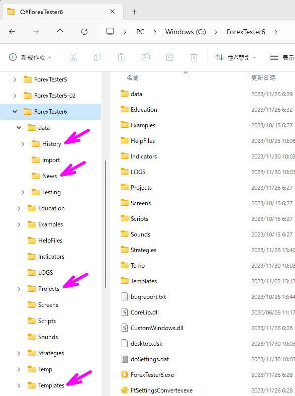 Forex Tester6の各ファイルが入っているフォルダ